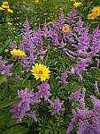 Click to see Y-fuji23f4gf-DSF2957.JPG