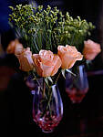 Click to see YC-63mm-0359-EDT.JPG
