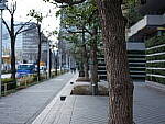 Click to see YDSCF0059.JPG