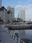 Click to see YDSCF0071.JPG