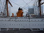 Click to see YDSCF0074.JPG