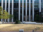 Click to see YDSCF0109.JPG