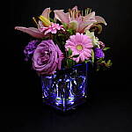 Click to see Y_DSF0047.JPG