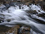 Click to see Y_DSF0126.JPG
