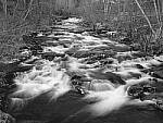 Click to see Y_DSF0149.JPG