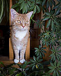 Click to see Y_DSF0251-MOD.JPG