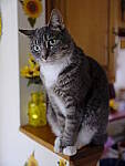 Click to see Y_DSF0281.JPG