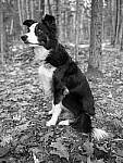 Click to see Y_DSF0435-MOD.JPG
