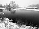 Click to see Y_DSF0447-MOD-BW.JPG