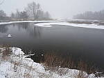 Click to see Y_DSF0447.JPG