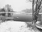 Click to see Y_DSF0455-MOD-BW.JPG