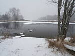 Click to see Y_DSF0455.JPG