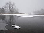 Click to see Y_DSF0459.JPG