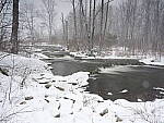 Click to see Y_DSF0475.JPG
