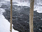 Click to see Y_DSF0501-MOD.JPG