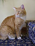 Click to see Y_DSF0514.JPG