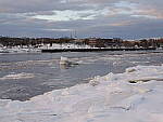 Click to see Y_DSF0537.JPG