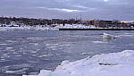Click to see Y_DSF0554.JPG