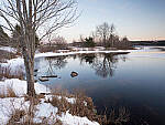 Click to see Y_DSF0593-MOD.JPG