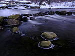 Click to see Y_DSF0607.JPG