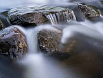 Click to see Y_DSF0610-MOD.JPG