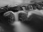 Click to see Y_DSF0610.JPG
