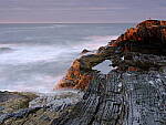 Click to see Y_DSF0634.JPG