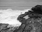 Click to see Y_DSF0639.JPG