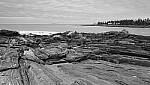 Click to see Y_DSF0641.JPG