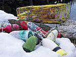 Click to see Y_DSF0700-MOD.JPG