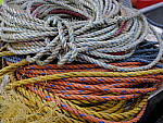 Click to see Y_DSF0719.JPG