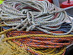 Click to see Y_DSF0720.JPG