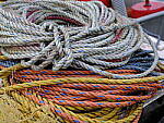 Click to see Y_DSF0721.JPG