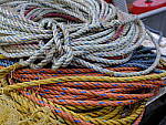 Click to see Y_DSF0722.JPG