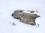 Click to see Y_DSF0751.JPG