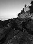 Click to see Y_DSF0889.JPG