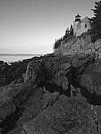 Click to see Y_DSF0890.JPG