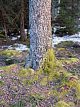 Click to see Y_DSF0903-MOD.JPG