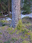 Click to see Y_DSF0903.JPG