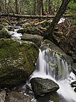 Click to see Y_DSF0984-0986-FOCUS-STACK-MOD.JPG