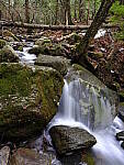 Click to see Y_DSF0984.JPG