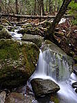 Click to see Y_DSF0986.JPG