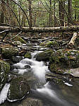 Click to see Y_DSF1002-1004-1007-FOCUS-STACK-MOD.JPG