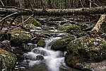 Click to see Y_DSF1023-1024-1027-FOCUS-STACK-MOD.JPG