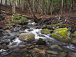 Click to see Y_DSF1039-1041-1043-FOCUS-STACK-MOD.JPG