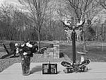 Click to see Y_DSF1065-FILM-SIM-ACROS-G.JPG