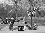 Click to see Y_DSF1066-FILM-SIM-MONO-STD.JPG