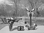 Click to see Y_DSF1067-FILM-SIM-MONO-YE.JPG
