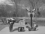 Click to see Y_DSF1068-FILM-SIM-MONO-R.JPG