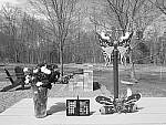 Click to see Y_DSF1069-FILM-SIM-MONO-G.JPG
